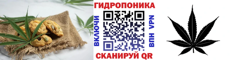 Canna-Cookies марихуана  Кадников 