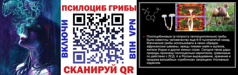 Псилоцибиновые грибы Psilocybe  маркетплейс какой сайт  Кадников 